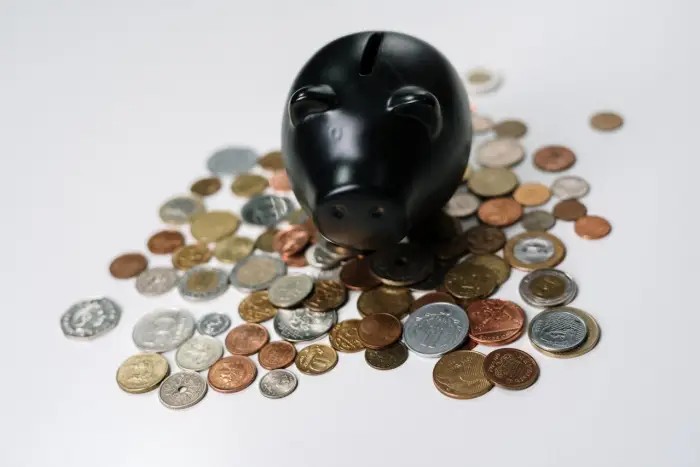 Inversiones Financieras leon